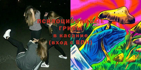 apvp Бородино