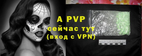 apvp Бородино