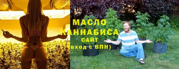 apvp Бородино
