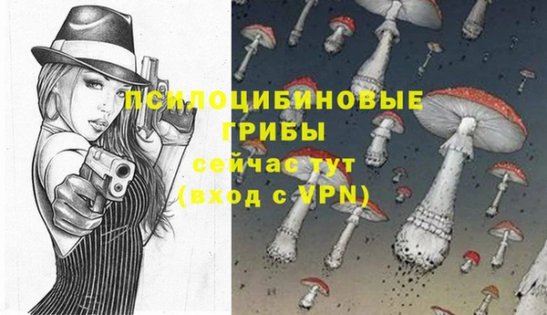 apvp Бородино