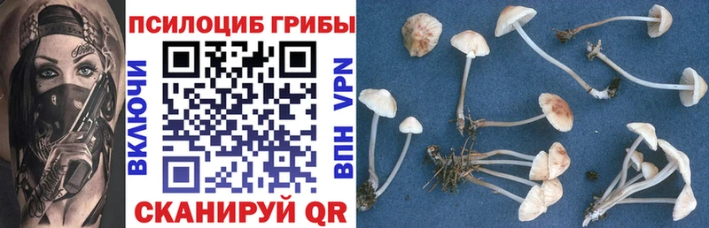 Галлюциногенные грибы ЛСД  Купить  Навашино 